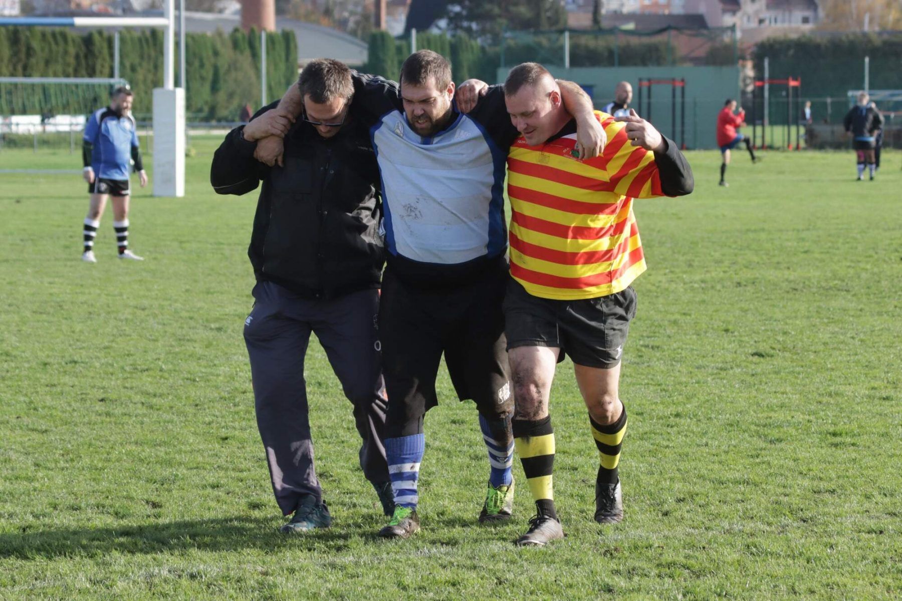 Přeloučský bizon, photo 14 of 38