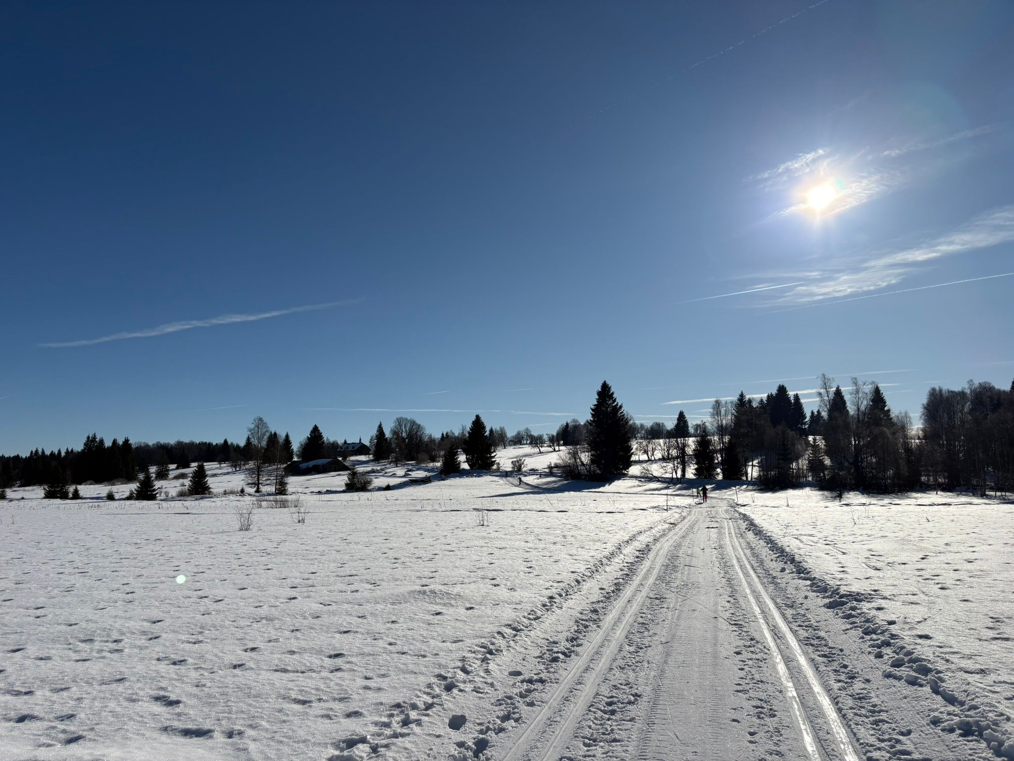 Zimní soustředění OBP Šumava, fotka 47 z 49