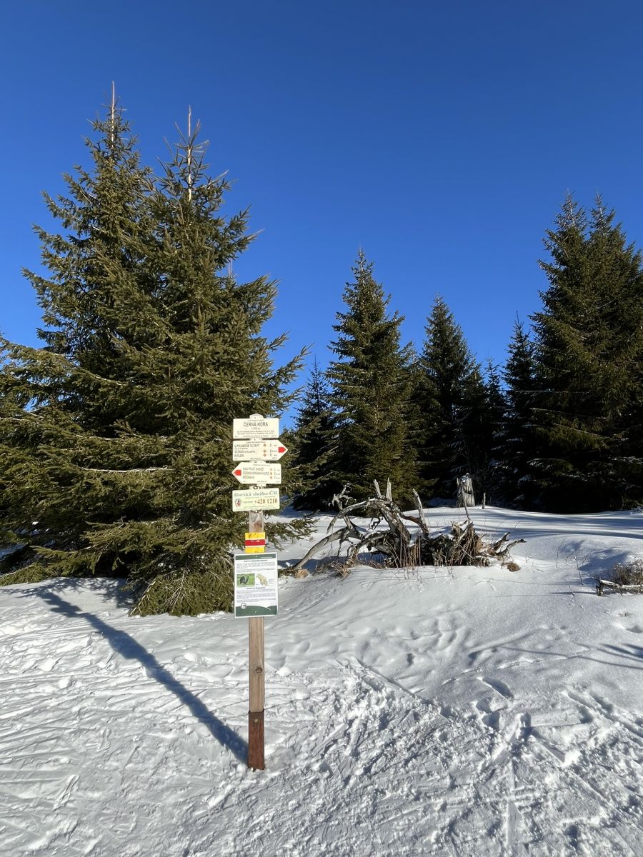 Bohemian Forest training camp, photo 12 of 90