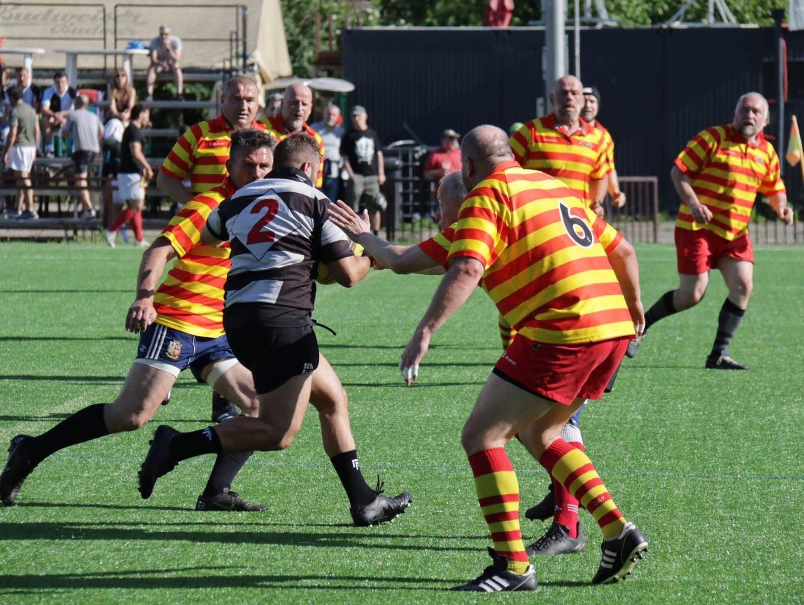 Mini-tournament with Des Vieux Cochons and Los Potos, photo 13 of 70