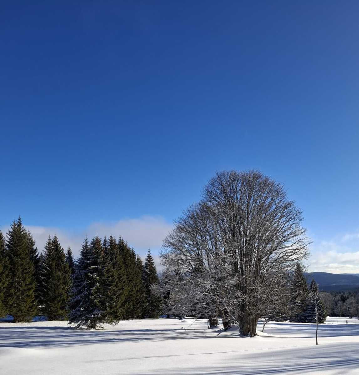 Bohemian Forest training camp, photo 23 of 90