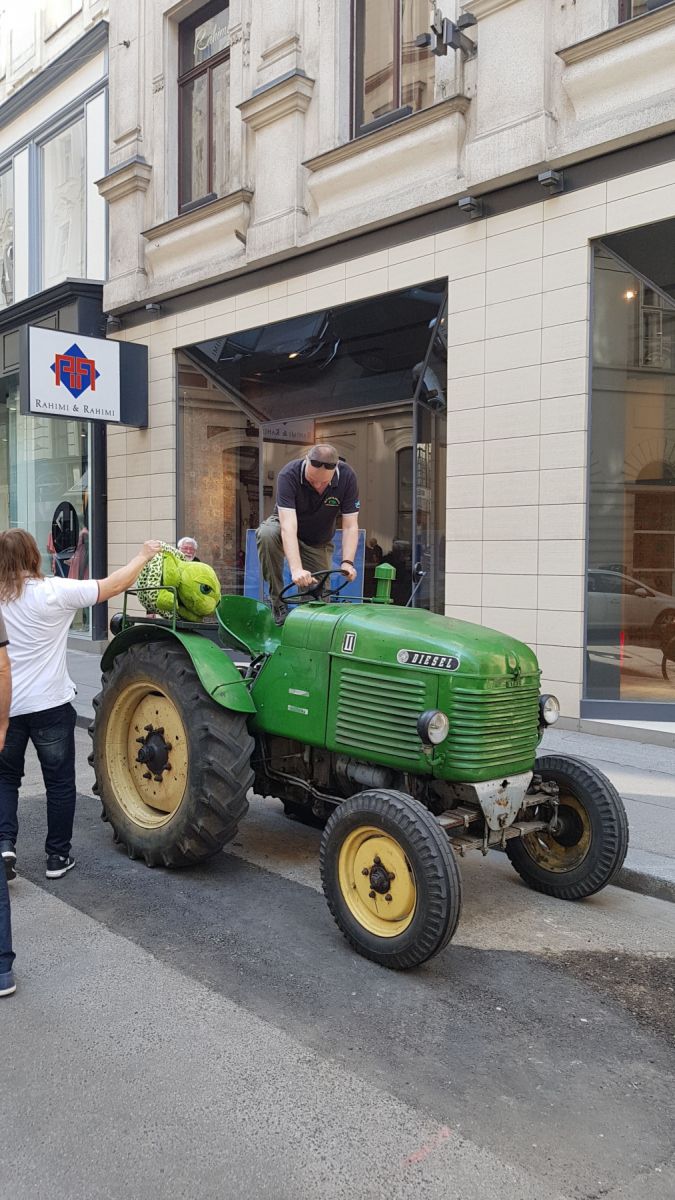Vienna, photo 6 of 49