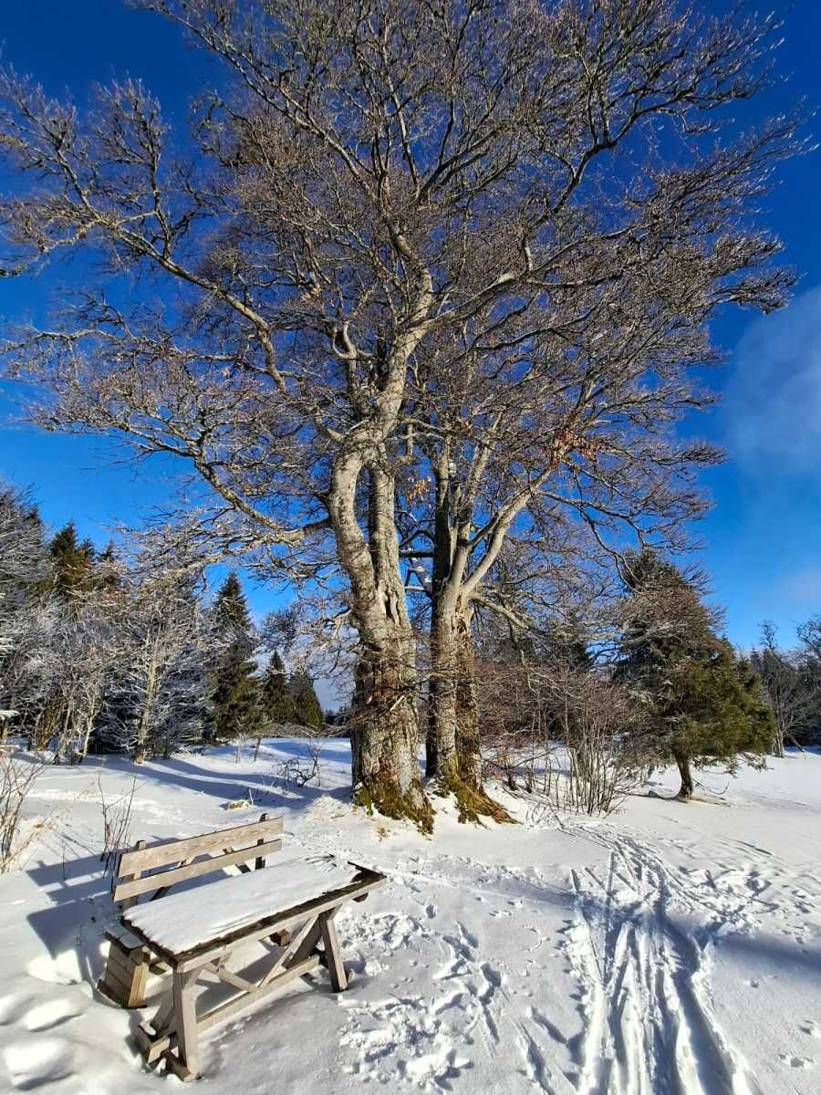 Bohemian Forest training camp, photo 68 of 90