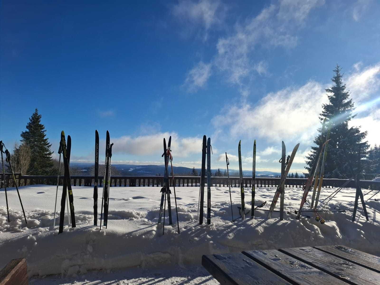 Bohemian Forest training camp, photo 25 of 90