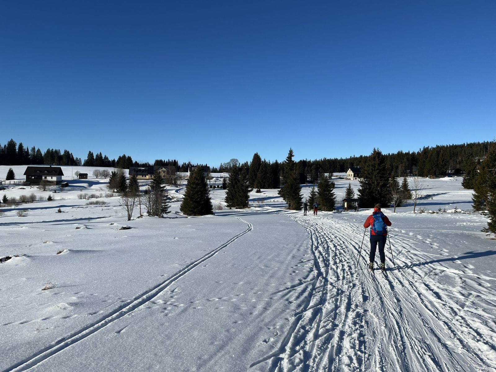 Bohemian Forest training camp, photo 13 of 90