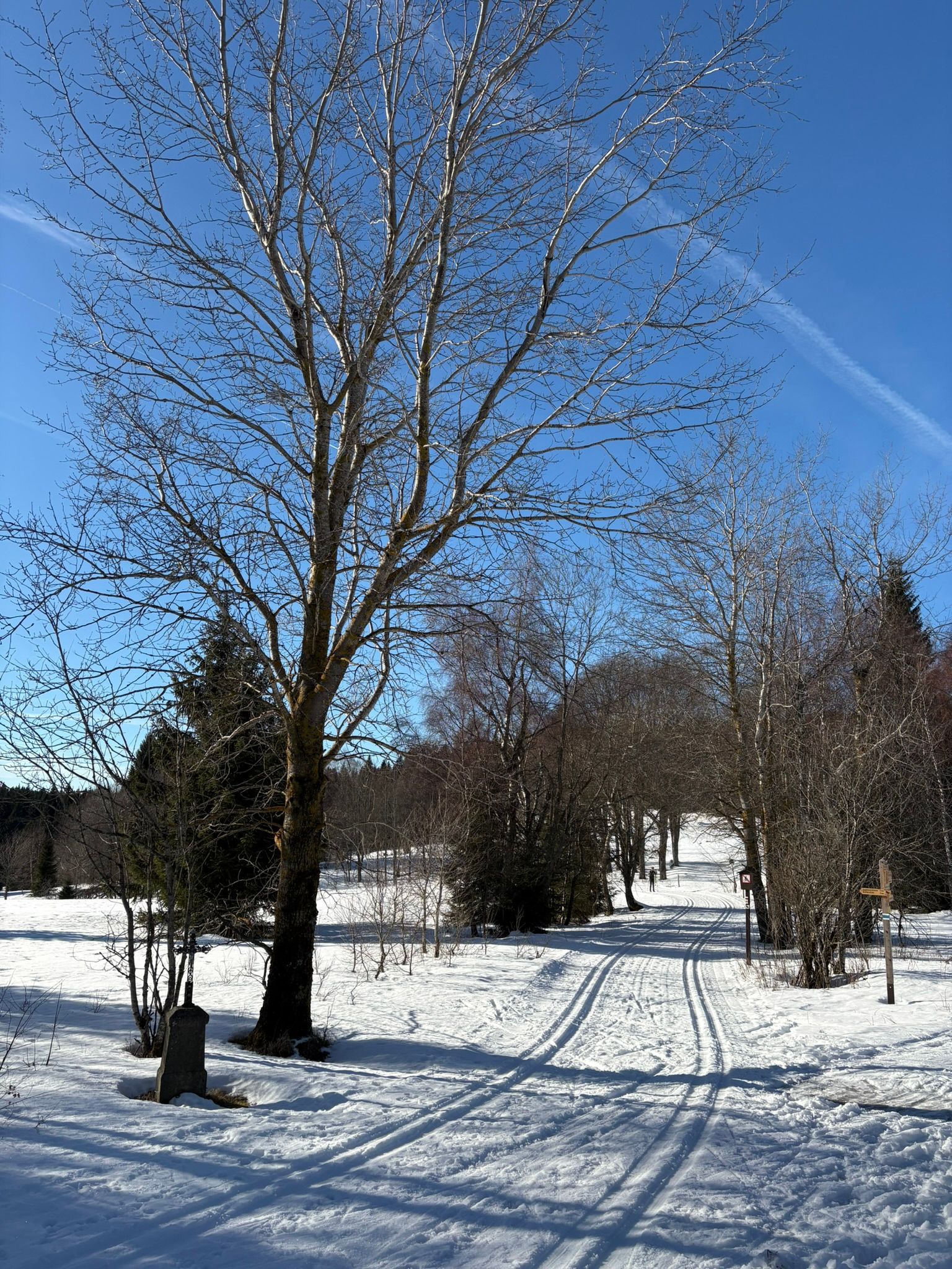 Zimní soustředění OBP Šumava, fotka 37 z 49