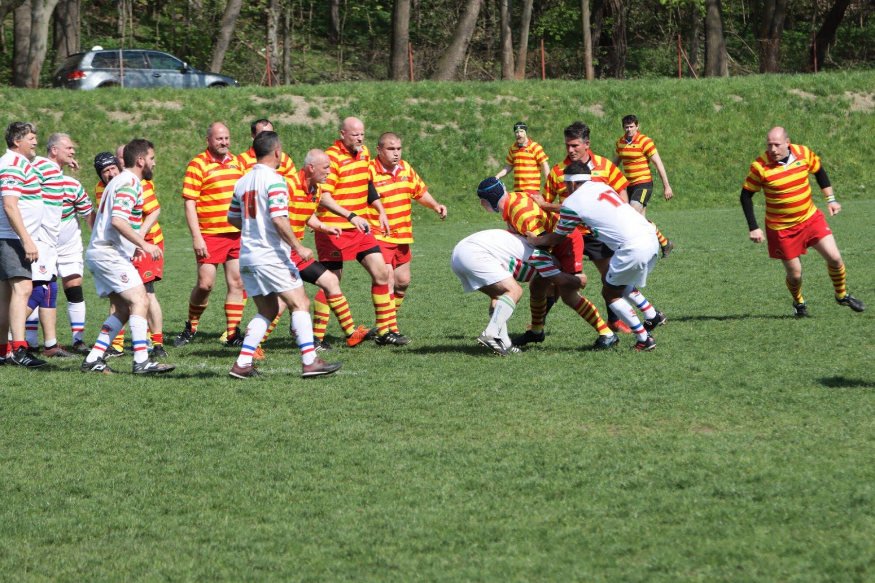Archiball Cote, photo 27 of 58