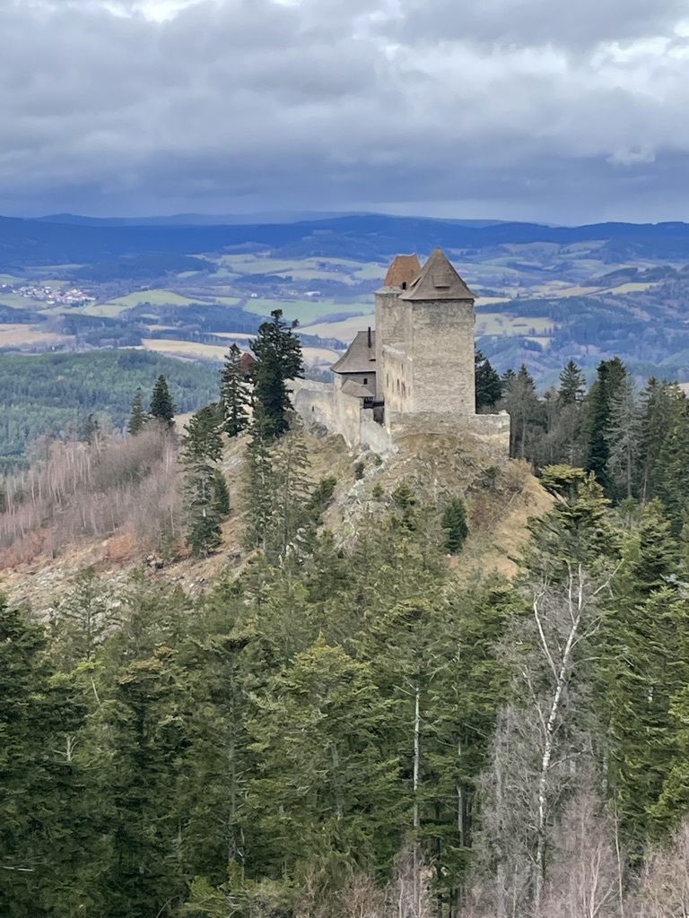 Bohemian Forest training camp, photo 10 of 14