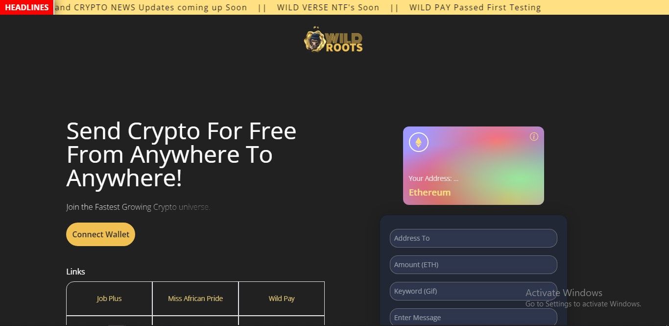 Solidity Web Developer