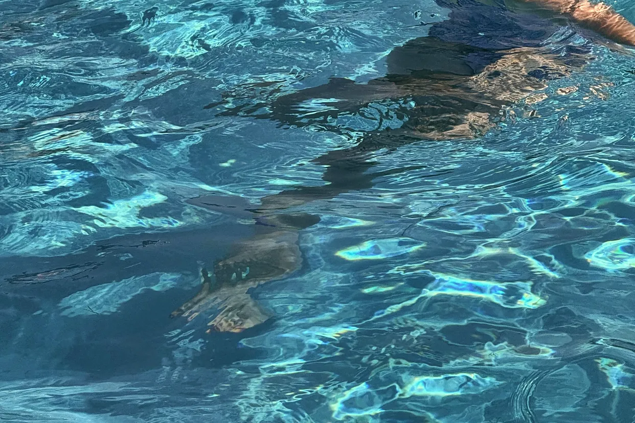 A girl with goggles on her head swims in the bright blue outdoor pool
