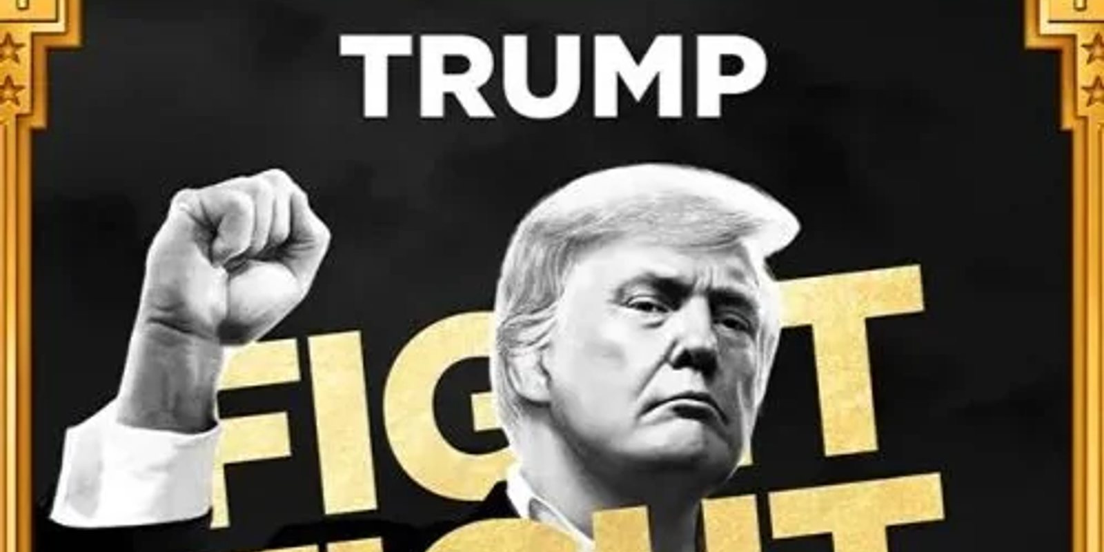 "Make Memecoins Great Again?" The Party of Trump's Meme Coin and the Hidden Worries