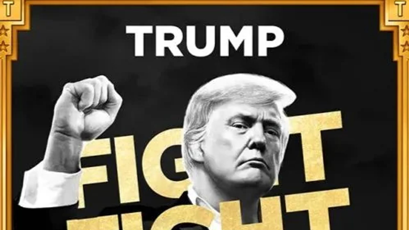 "Make Memecoins Great Again?" The Party of Trump's Meme Coin and the Hidden Worries