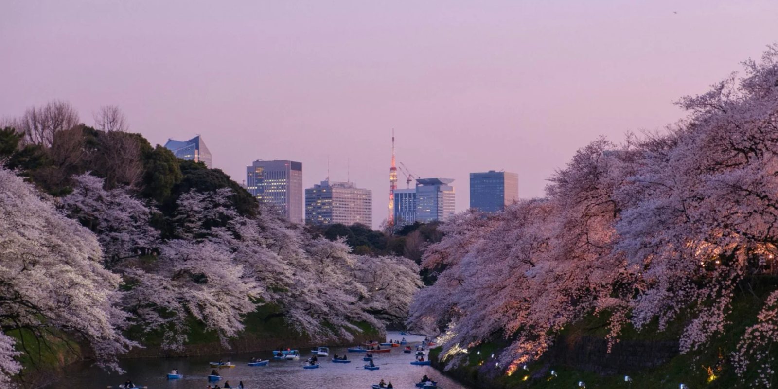Breaking News: Japan’s New Crypto Regulatory Framework Set to Take Effect
