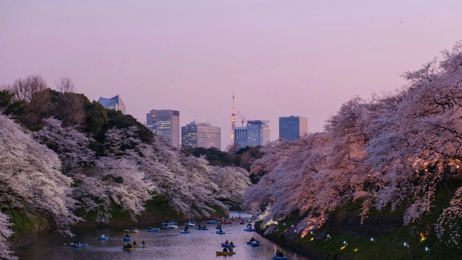 Breaking News: Japan’s New Crypto Regulatory Framework Set to Take Effect