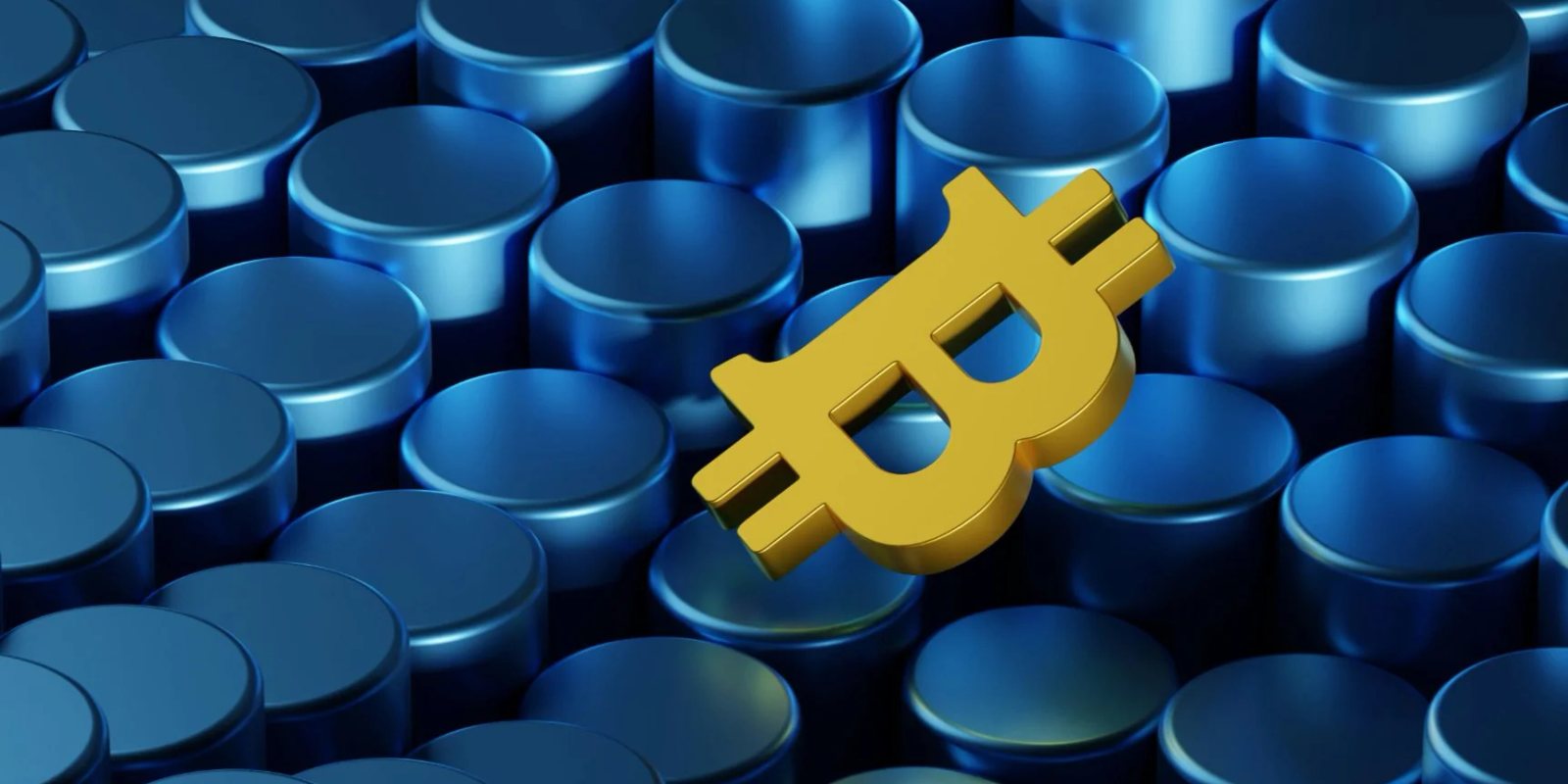 Breaking into a butterfly amidst market volatility--analysis of Bitdeer's financial results
