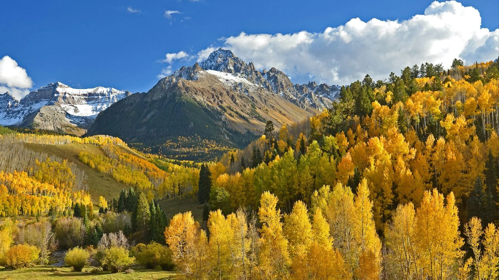 Colorado: A Welcoming and Inclusive Hub for Cryptocurrency and Technology Enterprises