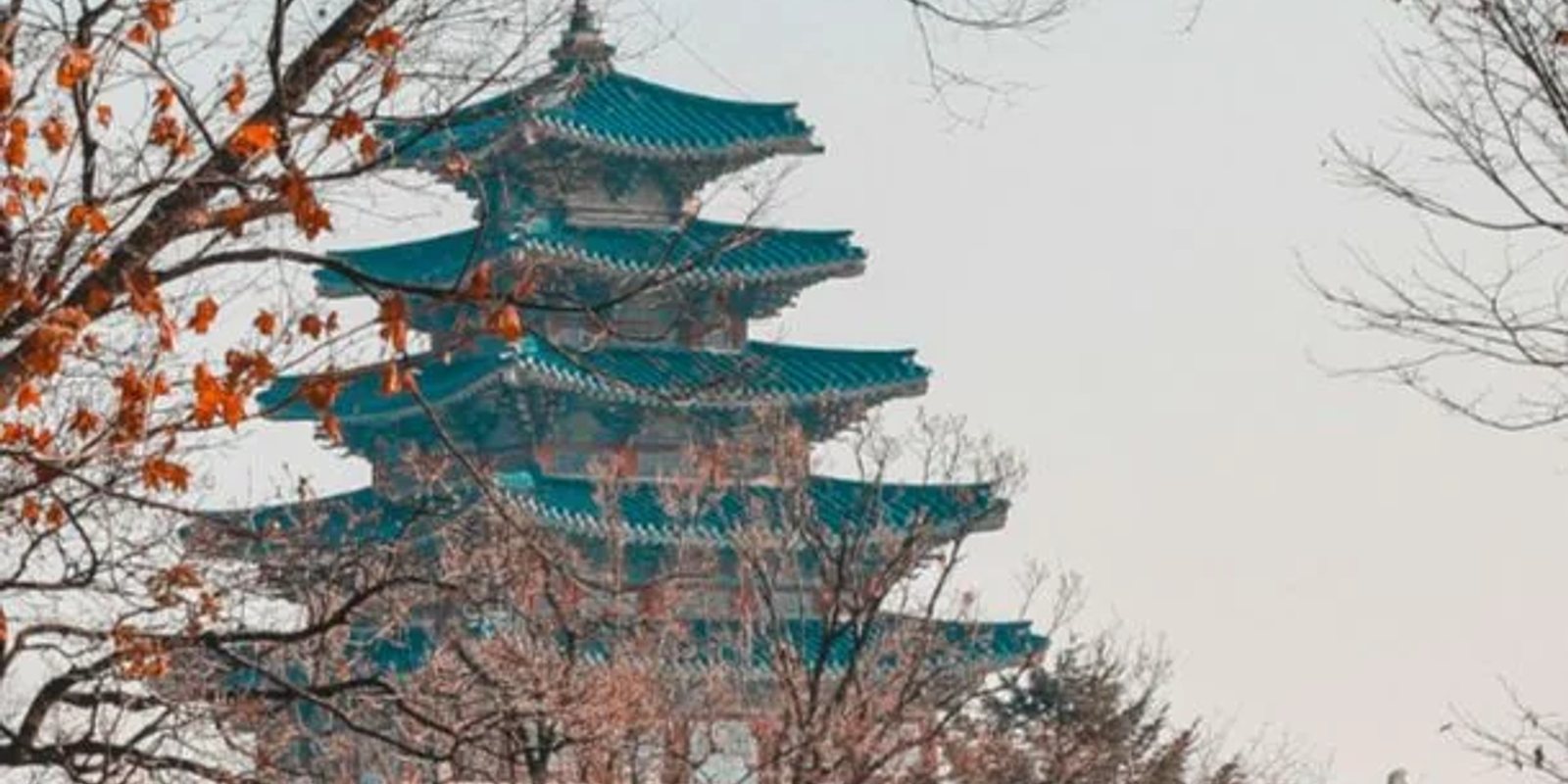 South Korea plans to establish a "virtual asset management system" to strengthen supervision
