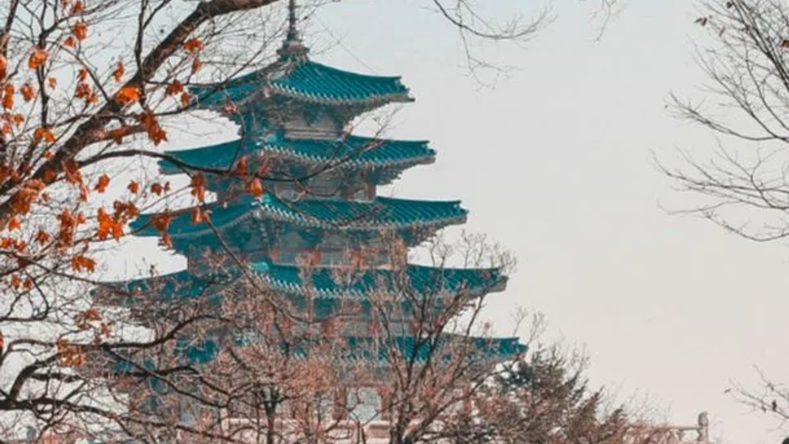 South Korea plans to establish a "virtual asset management system" to strengthen supervision