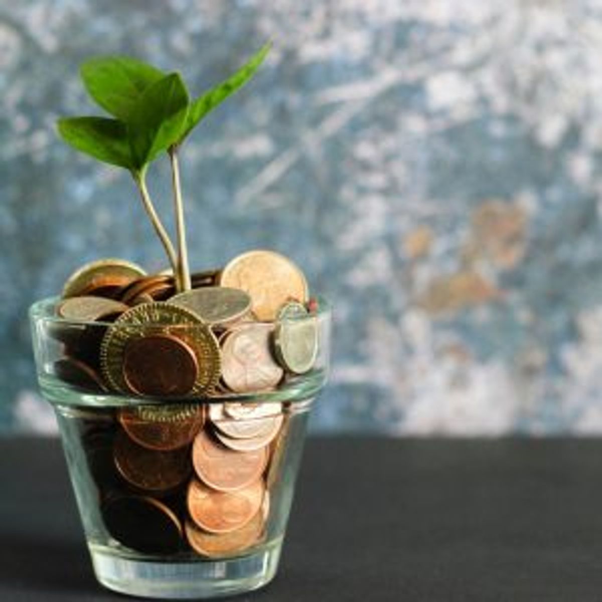 Seedling growing from a glass jar of coins