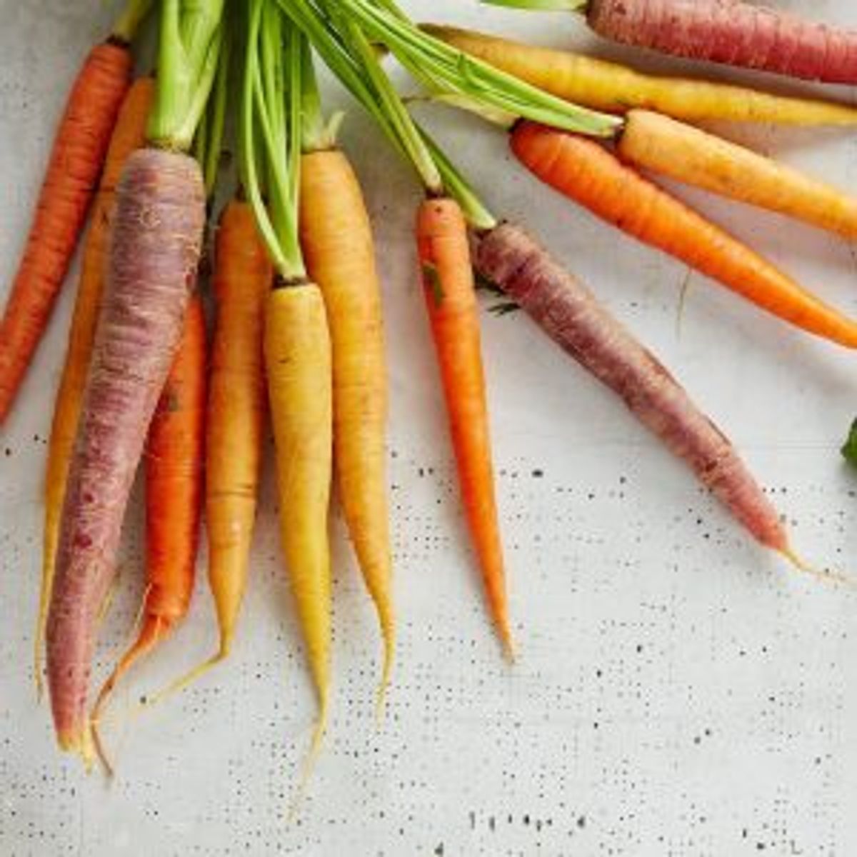 Fresh carrots, a natural source of plant-based pigment