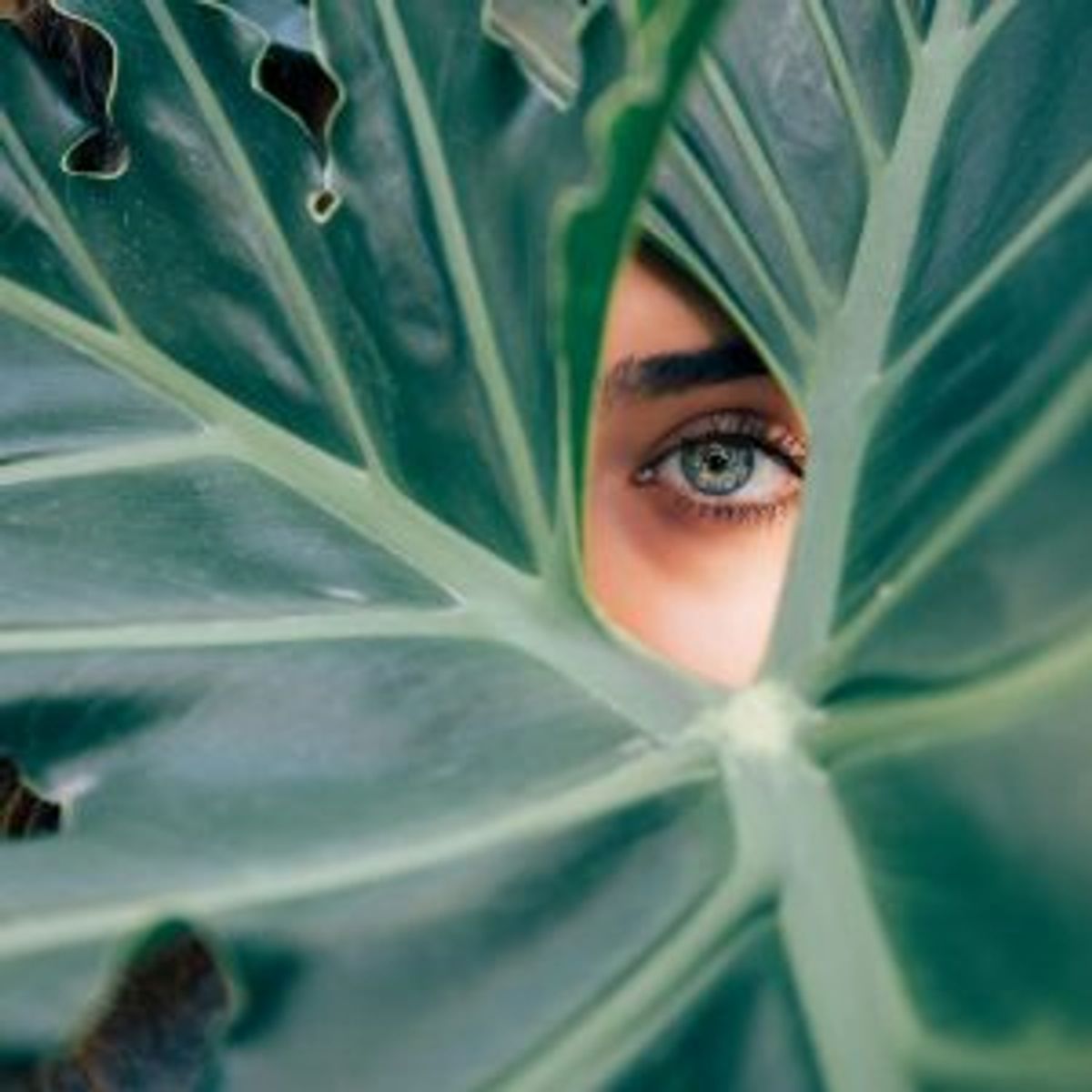 Woman peering through a large green leaf