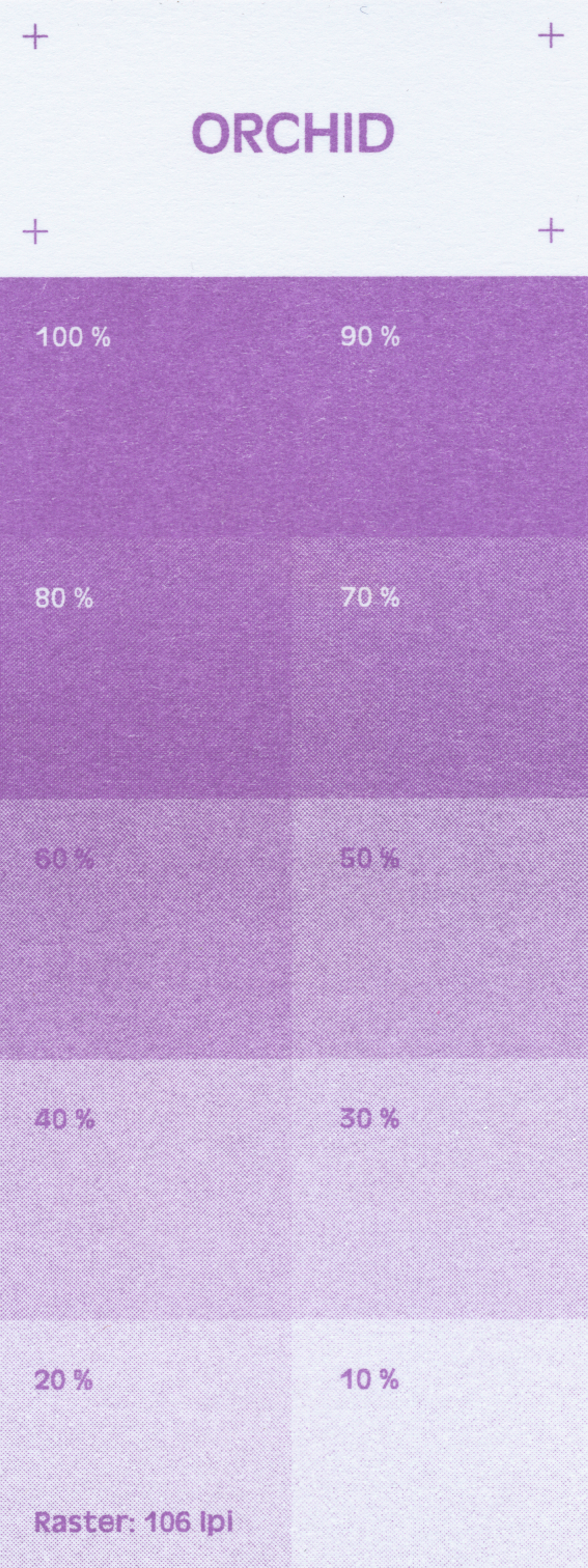 Risographie-Druck in Orchid