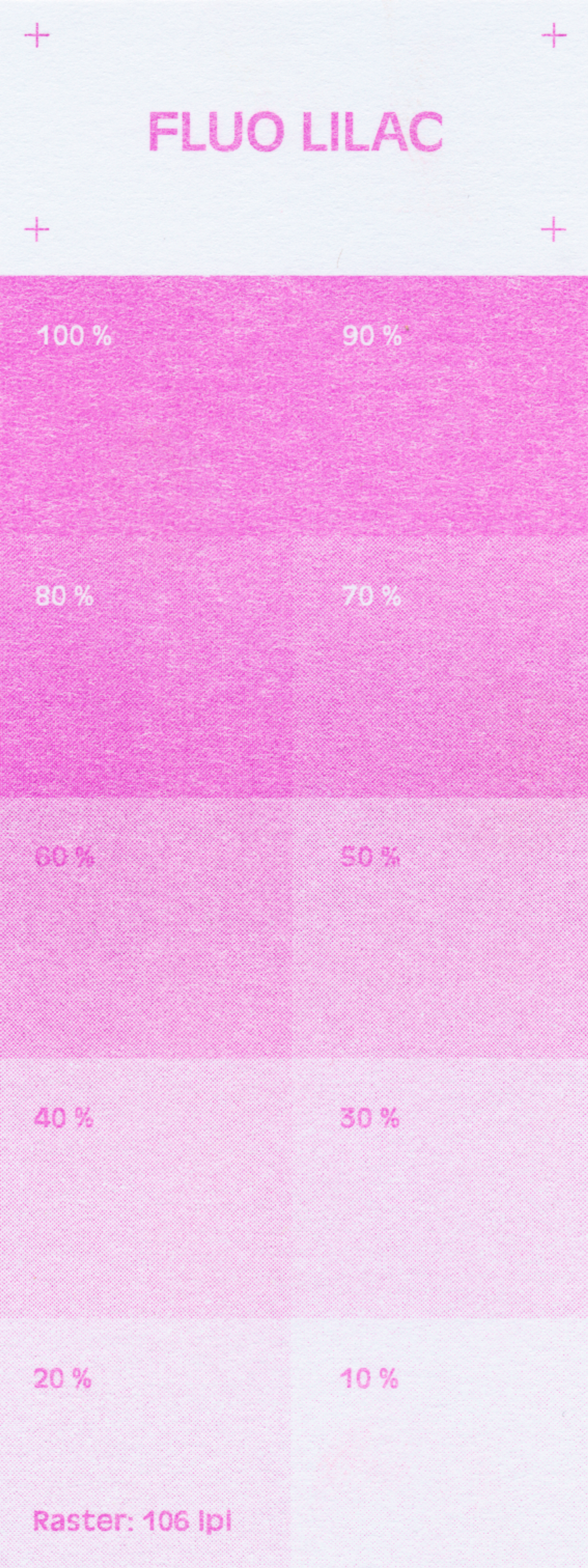 Risographie-Druck in Fluo Lilac