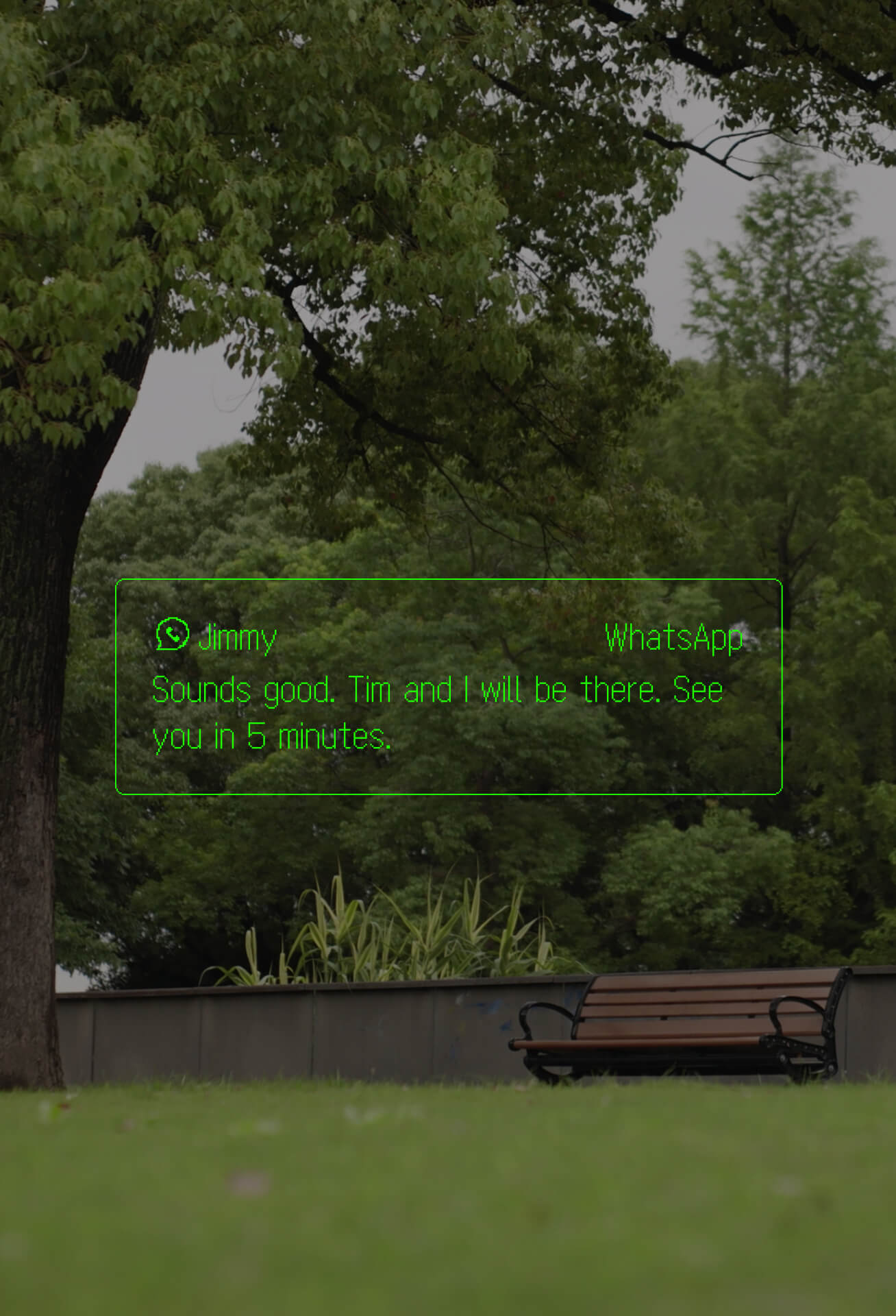 Notifications