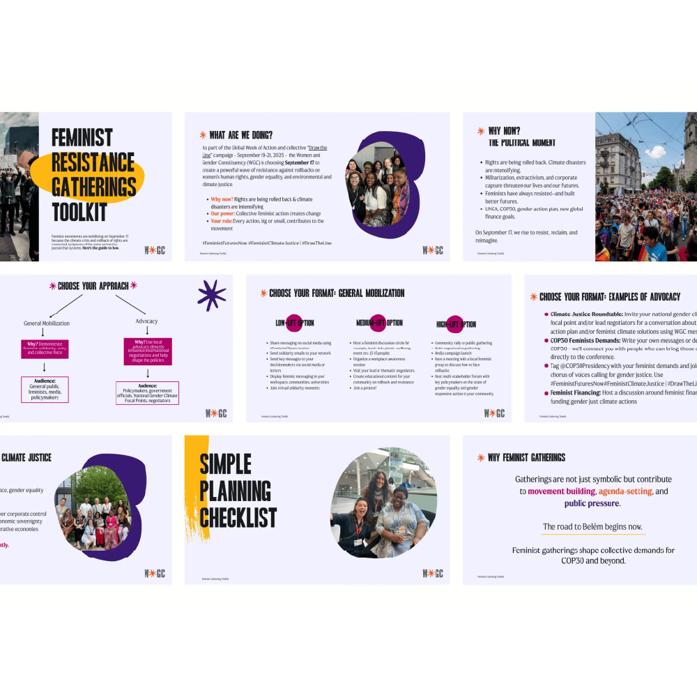 Women and Gender Constituency detail 3