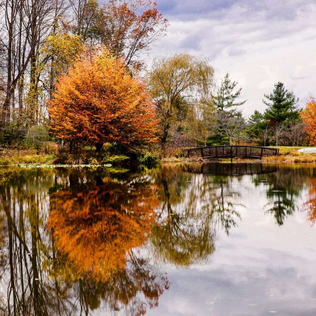 Vienna, VA CPA Tax & Accounting Firm DeBlanc + Murphy