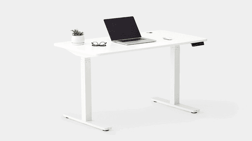 White adjustable standing desk