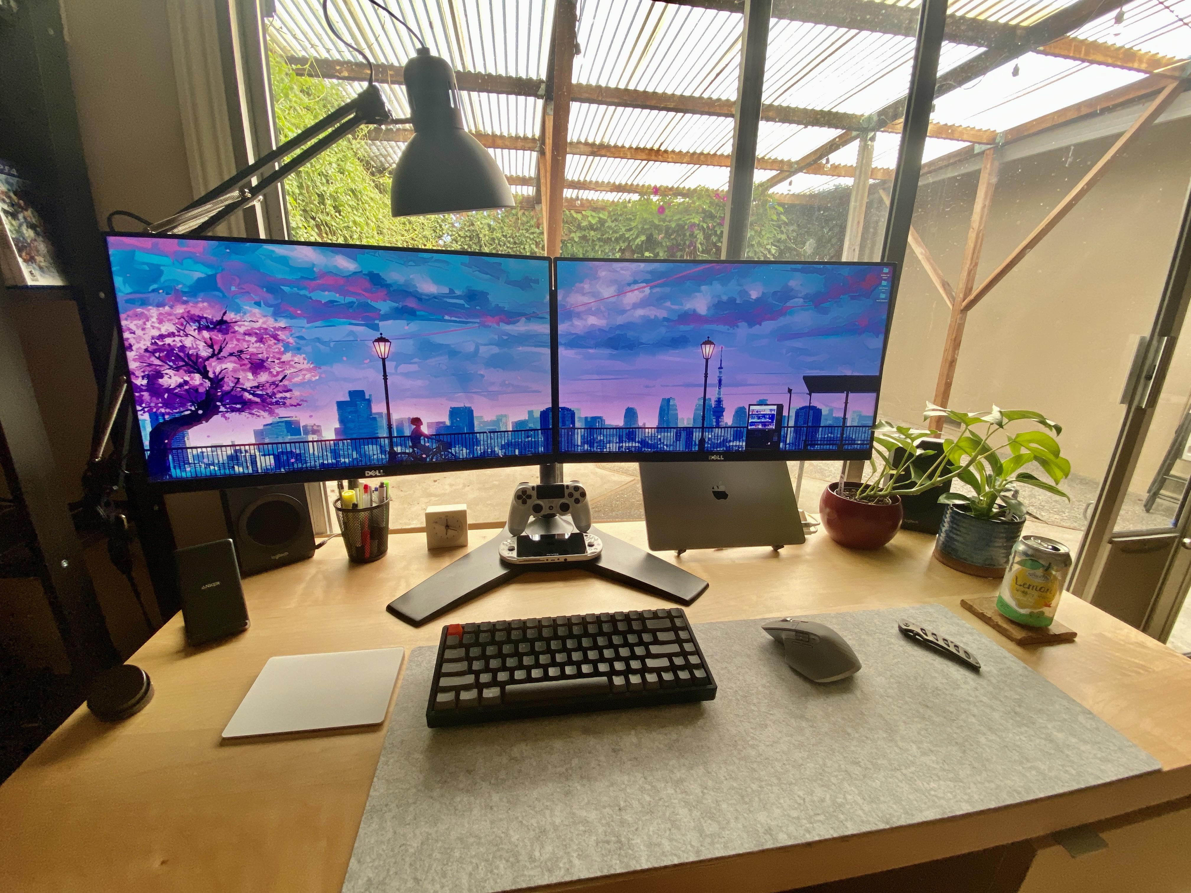 clean dual monitor setup