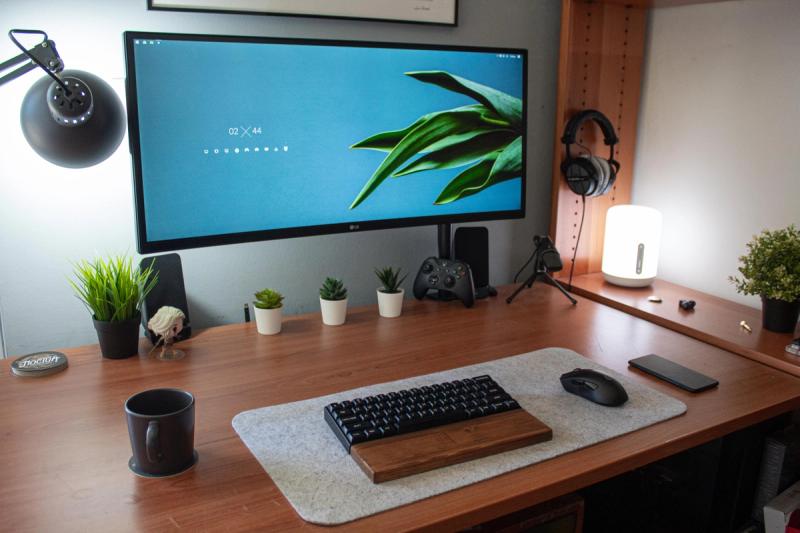 Beautiful zen setup with 34 inch ultrawide monitor