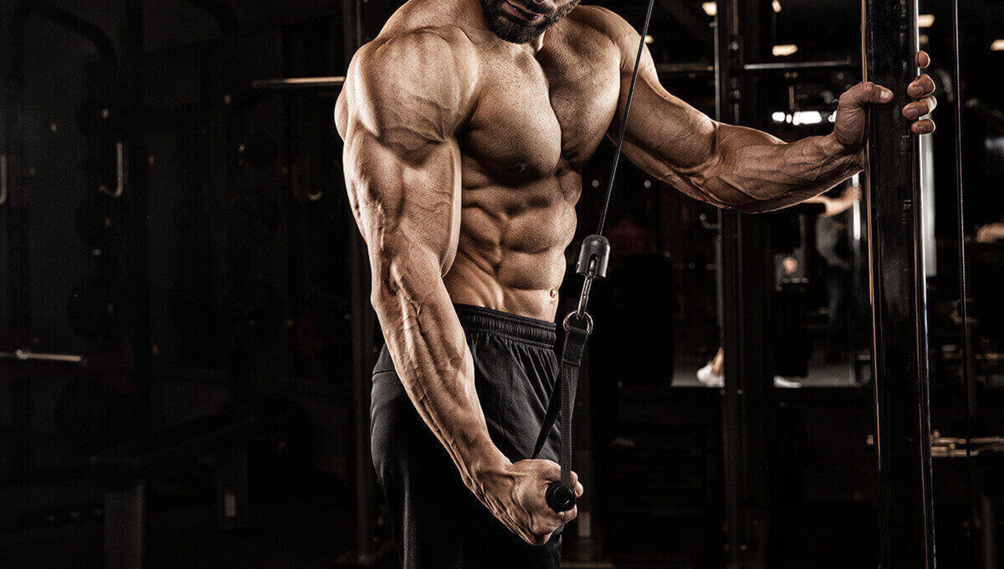 a muscular man is doing exercises on a machine in a gym .