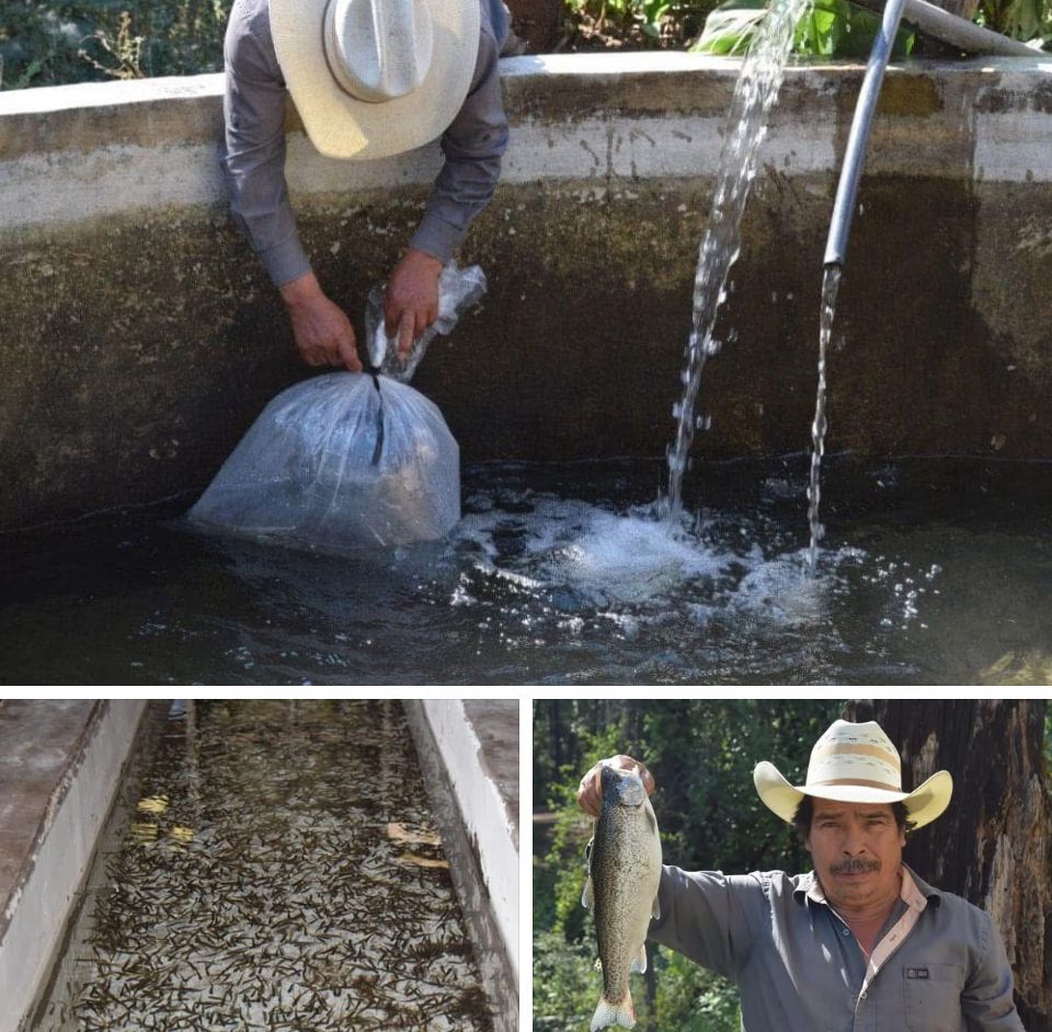⚠️ #Comunicado ⚠️ Gobierno de Morelia apoya a productores acuícolas de la zona rural