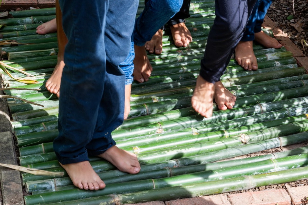 Imagem de corpo do texto do conteúdo Educação ambiental e inclusão na UFRJ