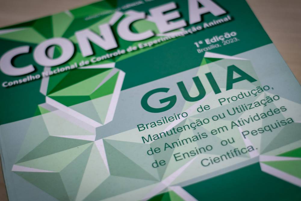 imagem principal do conteúdo Regras e prazos para o licenciamento de instalações animais