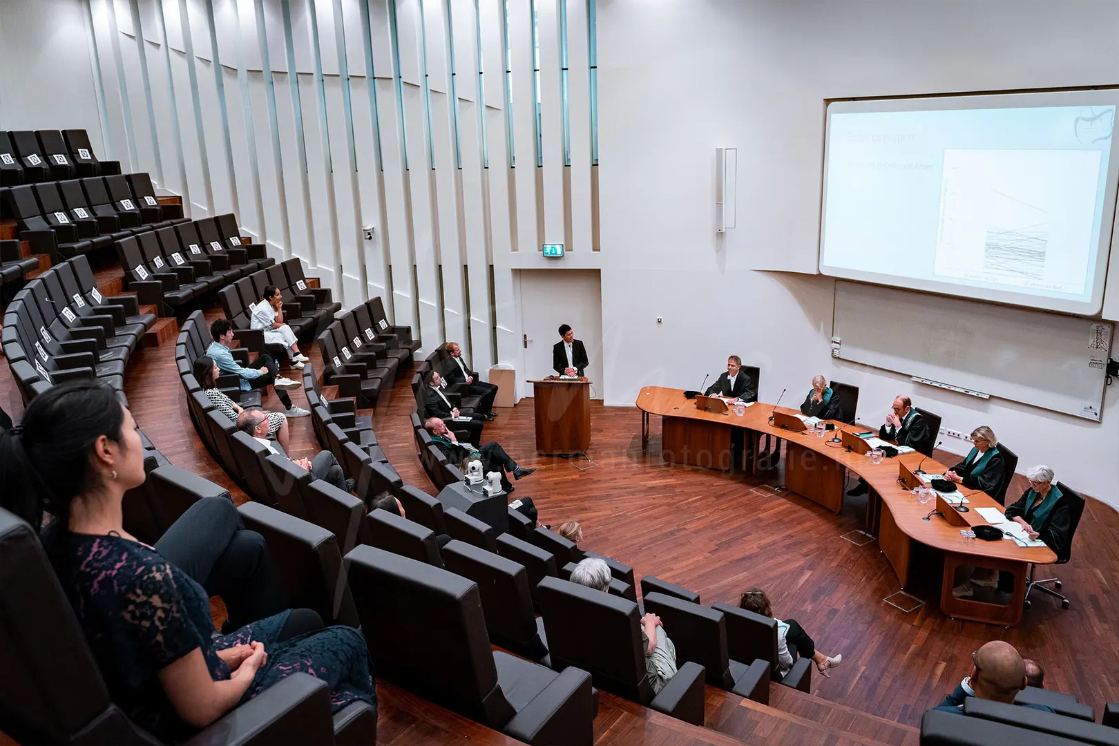 Het lekenpraatje tijdens de PhD verdediging