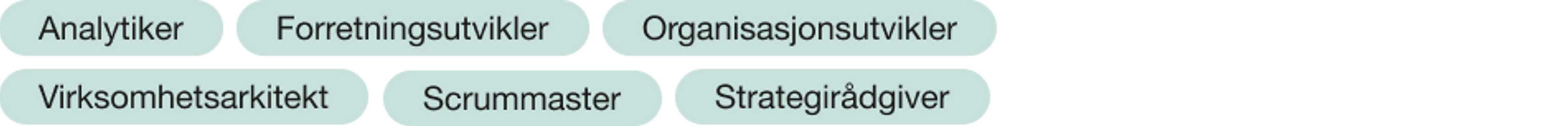 Analytiker, forretningsutvikler, organisasjonsutvikler, virksomhetsarkitekt, scrummaster, strategirådgiver