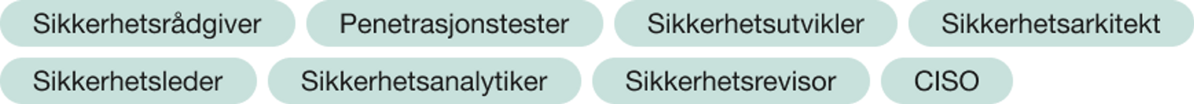 Sikkerhetsrådgiver, penetrasjonstester, sikkerhetsutvikler, sikkerhetsarkitekt, sikkerhetsleder, sikkerhetsanalytiker, sikkerhetsrevisor, CISO
