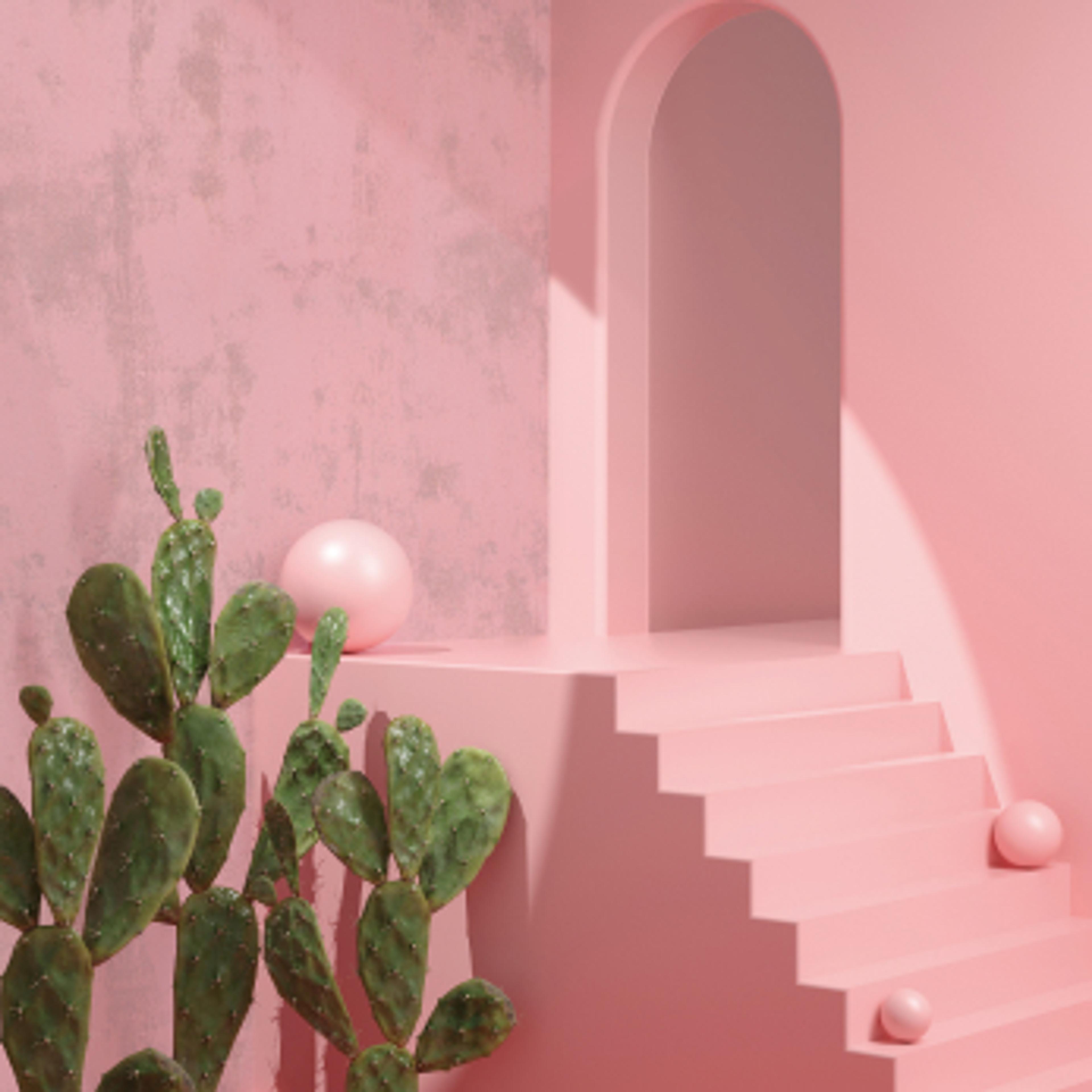 Kaktuser ved siden av rosa trapp, med kuler i trappetrinnene og én øverst. 