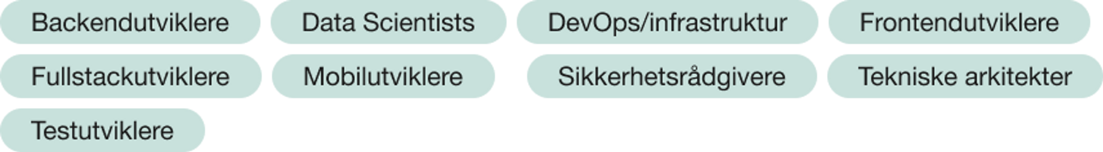 Backendutviklere, Data Scientists, DevOps/infrastruktur, Frontendutviklere, Fullstackutviklere, Mobilutviklere, Sikkerhetsrådgivere, Tekniske arkitekter, Testutviklere