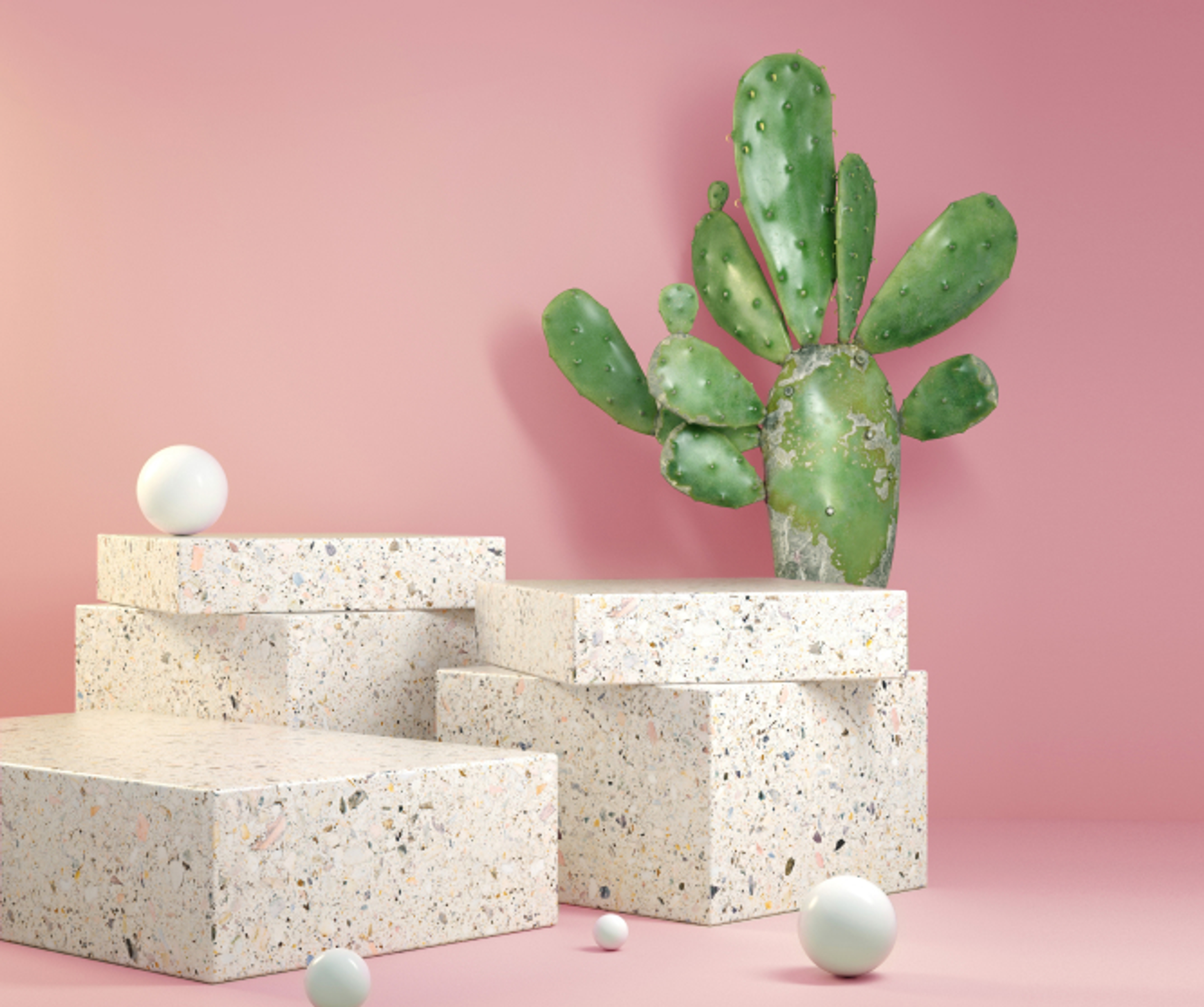Kaktus som står bak stenblokker
