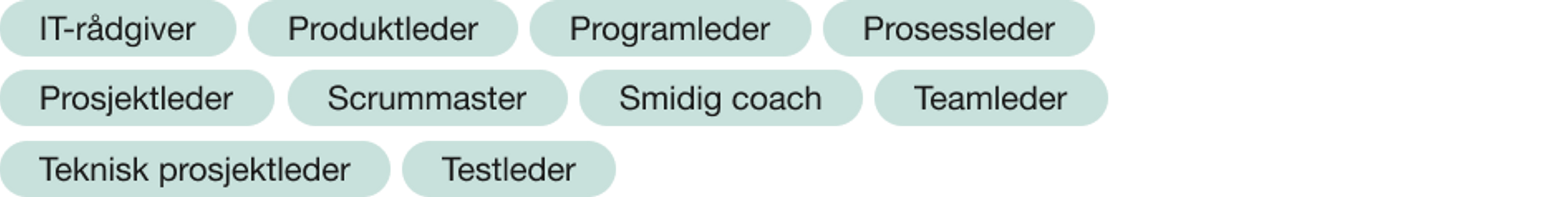 IT-rådgiver, produktledr, programleder, prosessleder, prosjektleder, srummaster, smidig coach, teamleder, teknisk prosjektleder, testleder, utviklingsleder