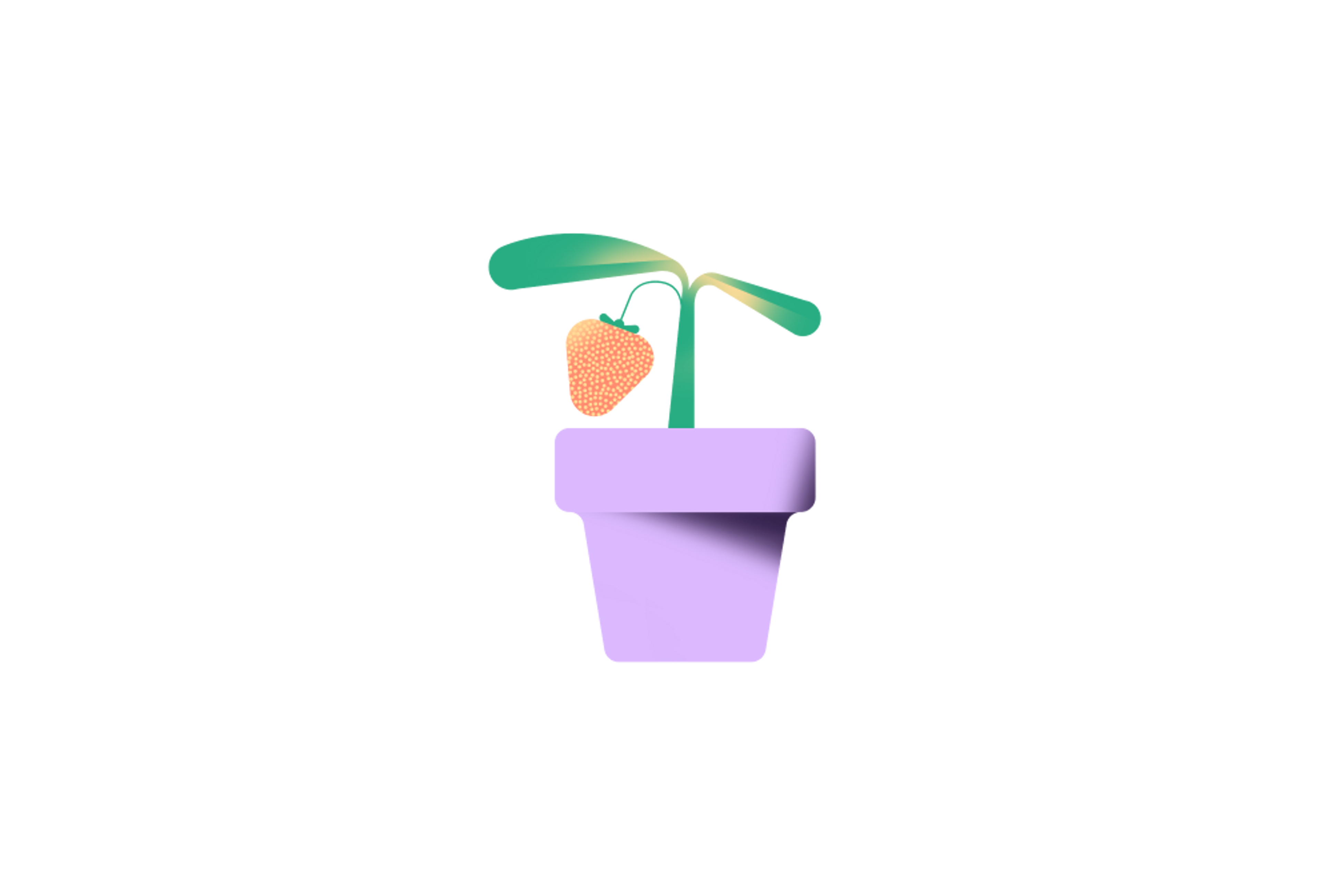 Plante