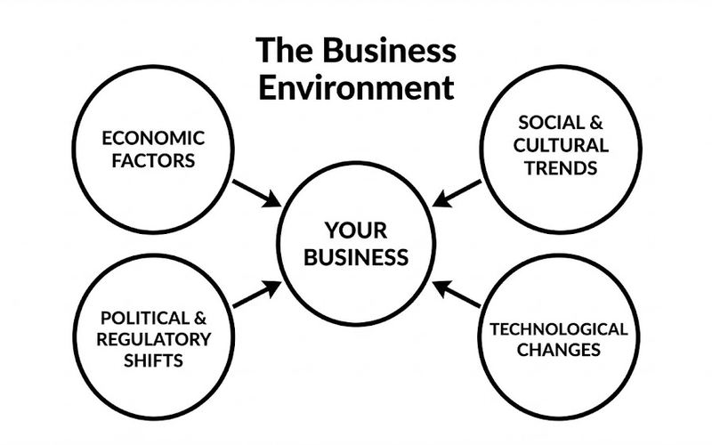 How Environment Affects Business Success