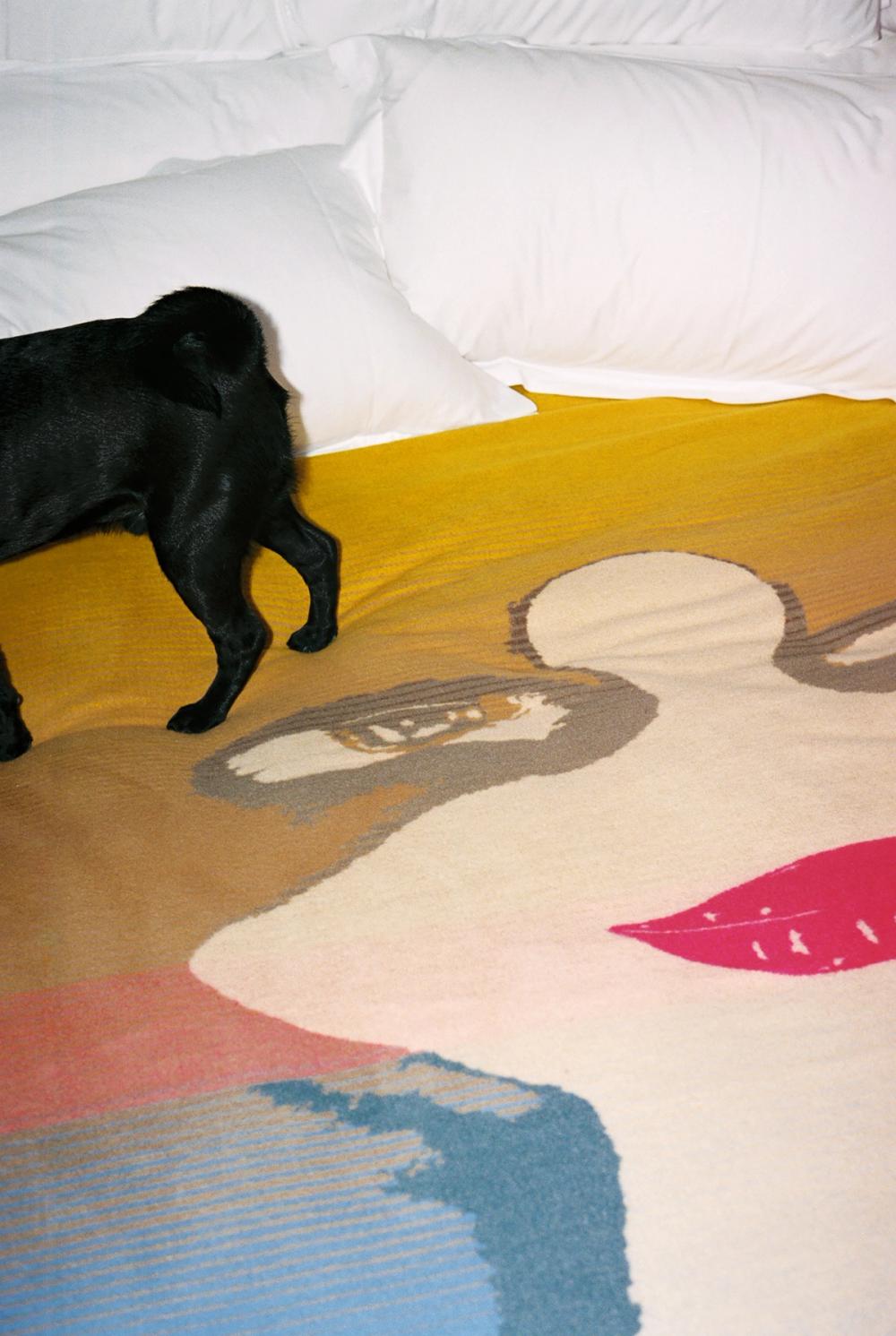 PINUP BLANKET STATEMENTS