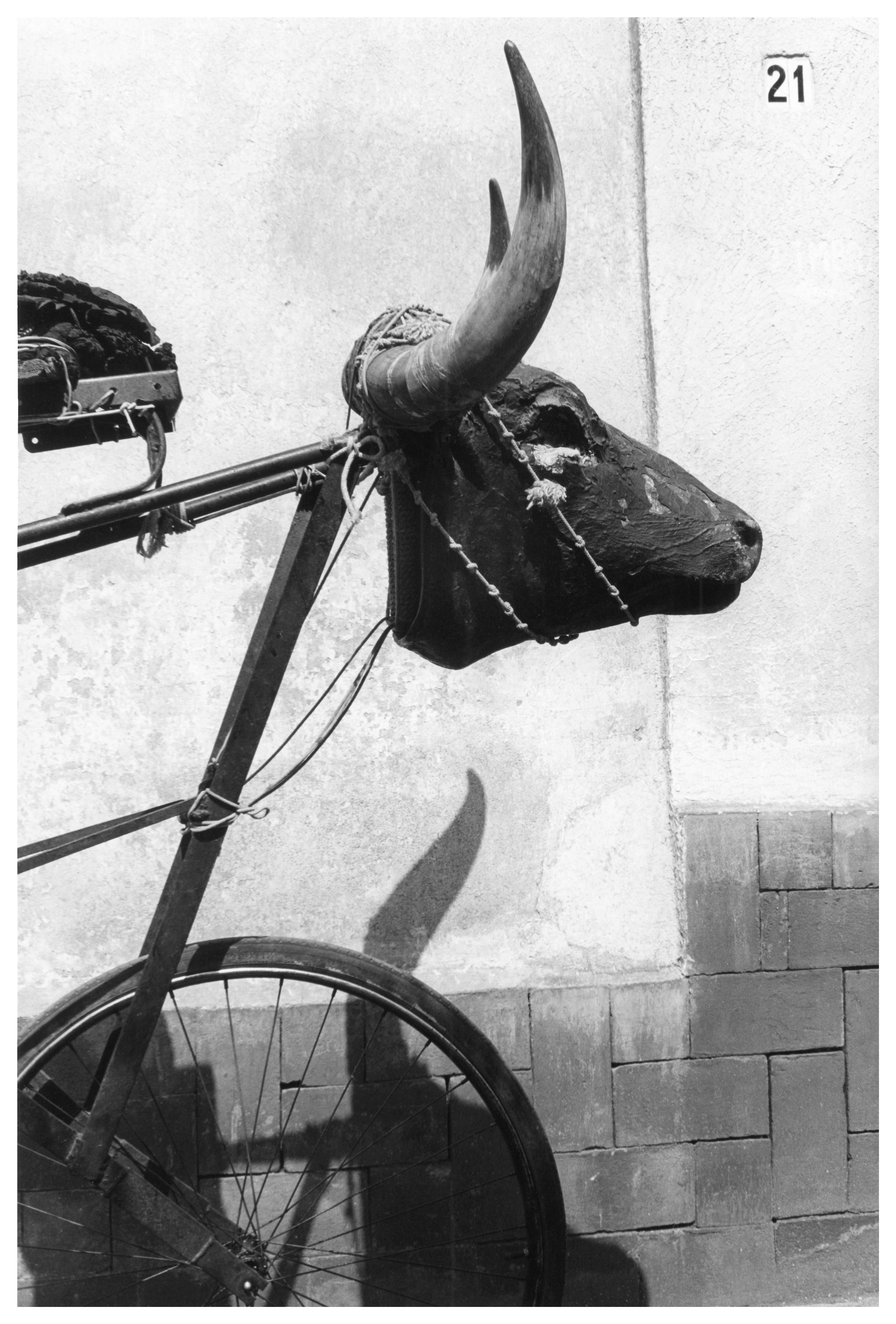 PIN–UP | GRACIELA ITURBIDE RETURNS TO HER ROOTS
