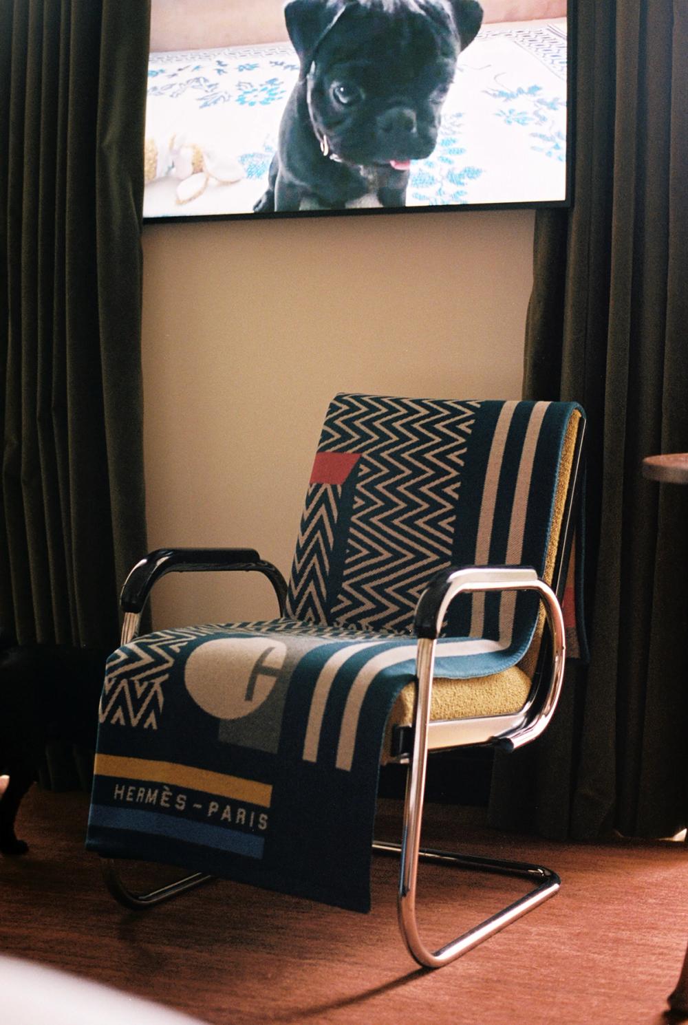 PINUP BLANKET STATEMENTS