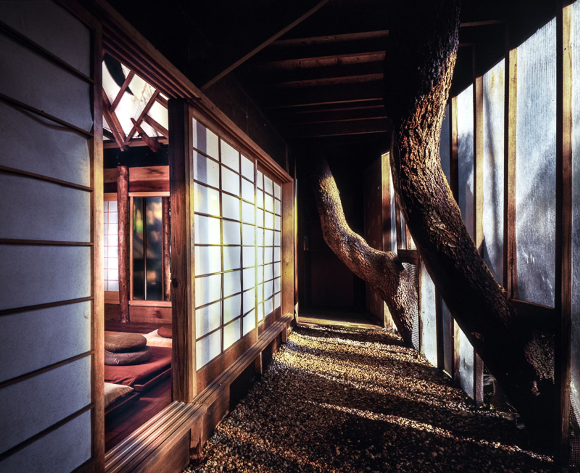 PINUP THE LANDSCAPE ARCHITECTURE OF JAMES ROSE